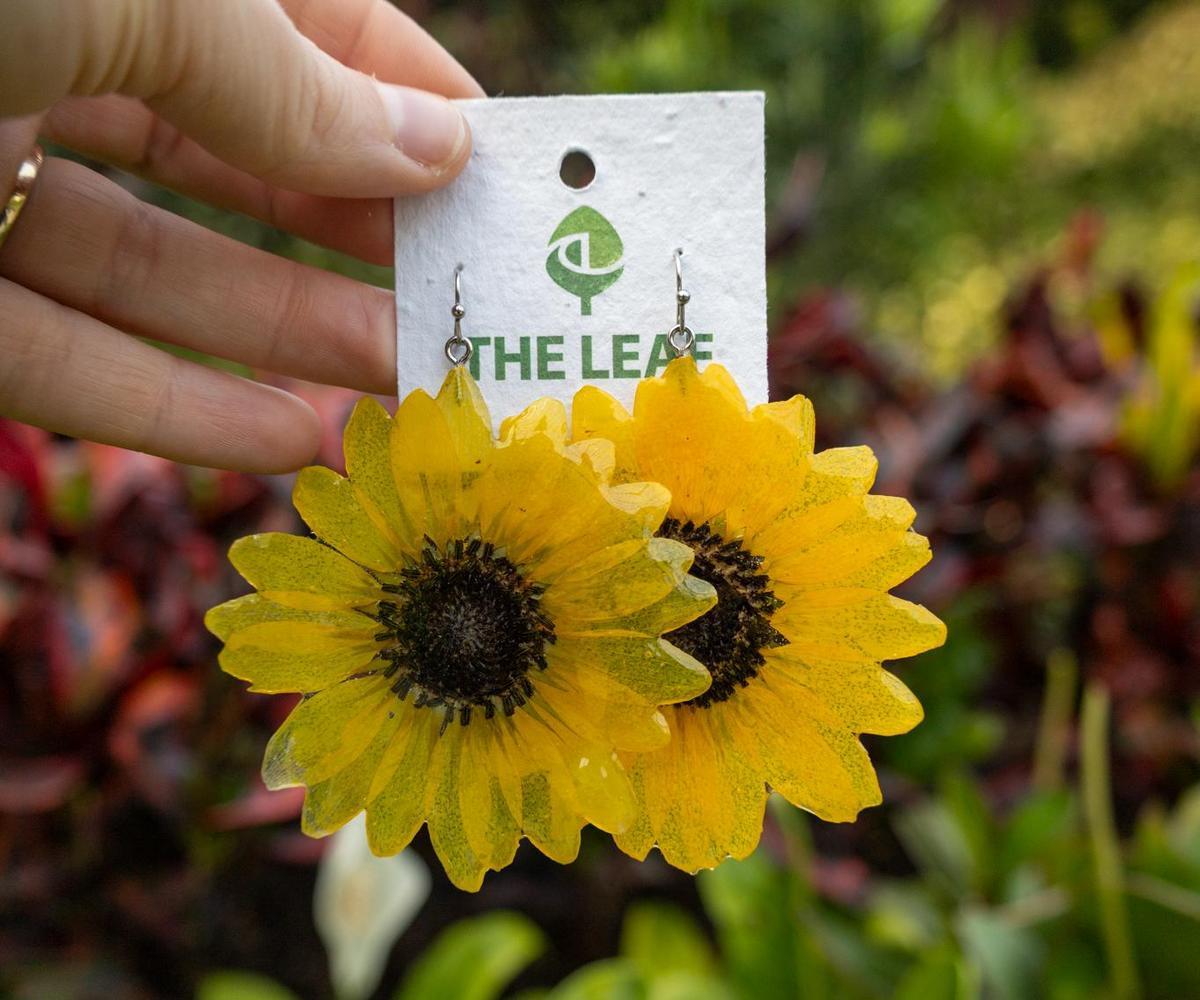 IMG_9956.jpg (172 KB)